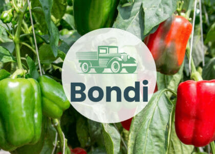 Bondi Produce Market Report January 10th 2023