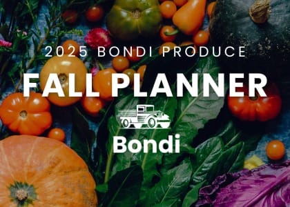 Fall Produce Guide
