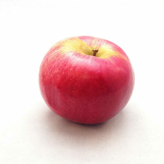 Mcintosh Apple