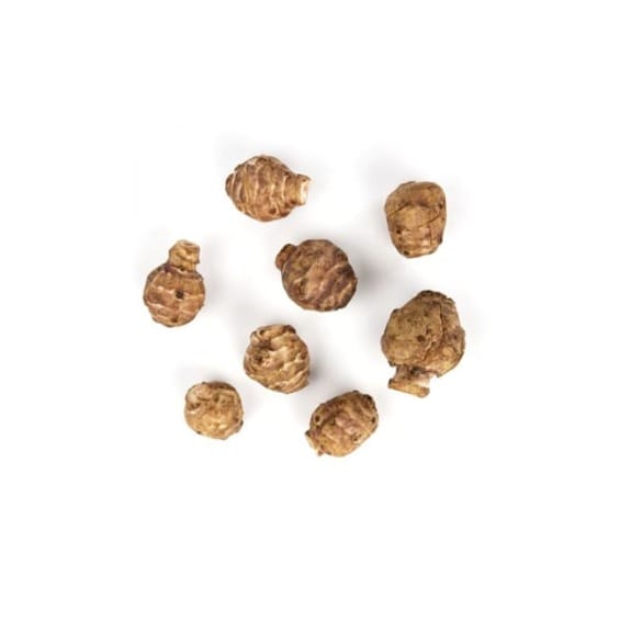 ARTICHOKE JERUSALEM