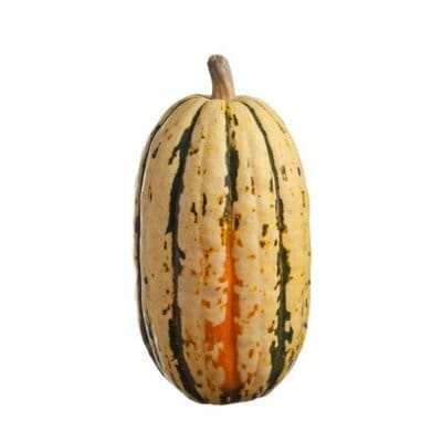 Delicata Squash