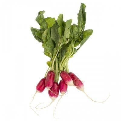 French Breakfast Radish