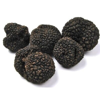 Black Summer Truffle