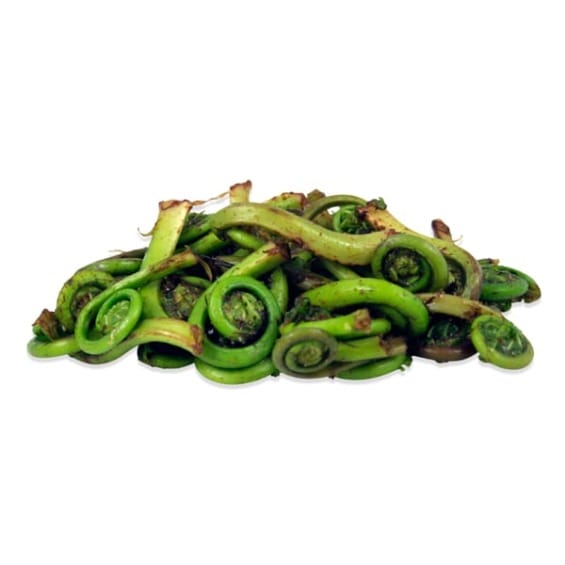 Fiddleheads