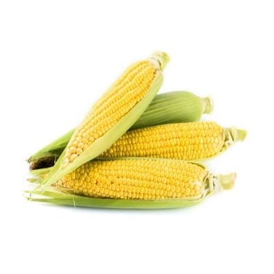 Welsh Bros Ontario Sweet Corn