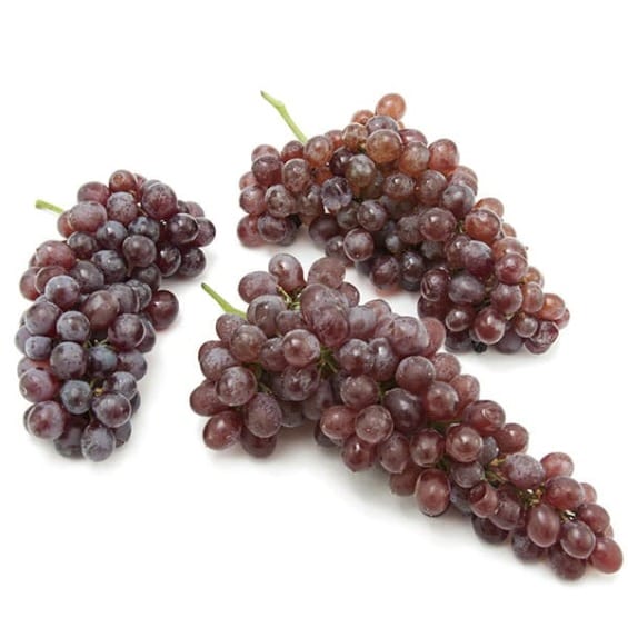 Champagne Grapes