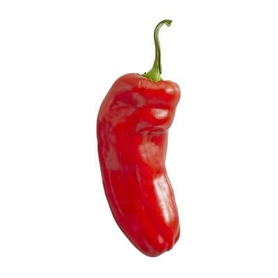 Red Sheppard Peppers