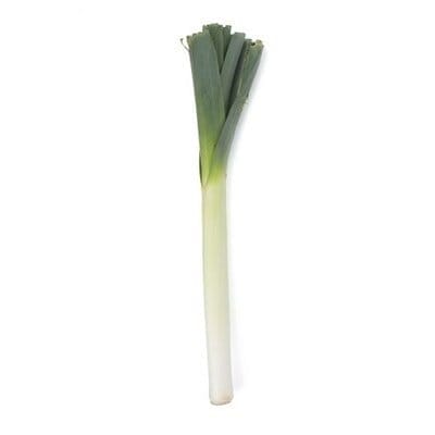 Leek