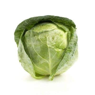 Green Cabbage